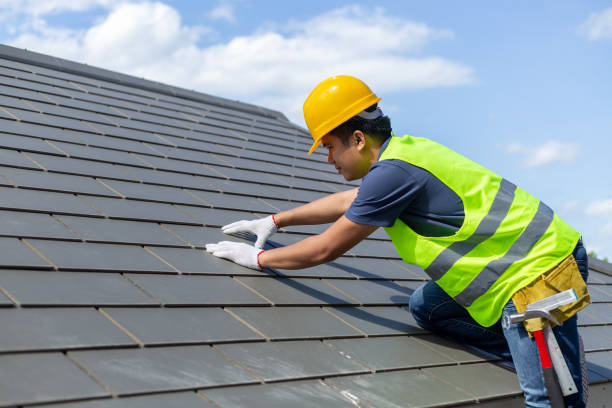 Best Local Roofing Companies  in Blackshear, GA