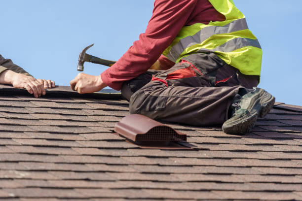 Best Best Roofing Contractors  in Blackshear, GA