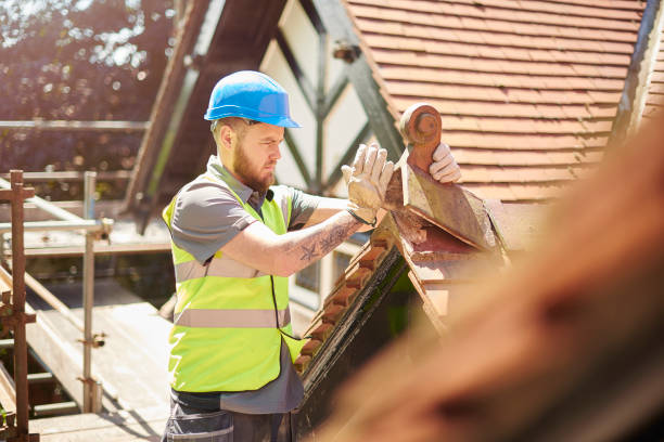 Best Roofing Contractor Near Me  in Blackshear, GA